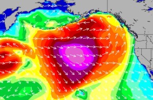 big fetch aimed right at Hawaii